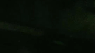 经典香港三级片鬼狐胡慧中主演（国粤双语版）